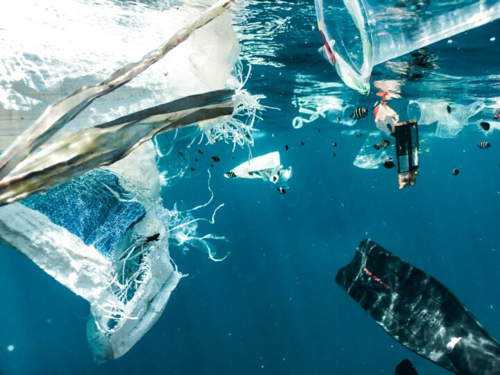 Dlaczego plastik jest tak niebezpieczny dla Bałyku? To dotyczy również ciebie