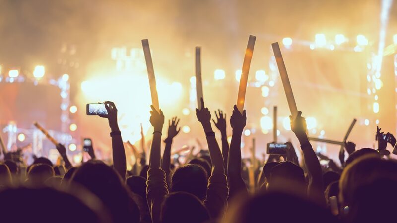 Halleriada 2026: Letni Piknik u Hallera we Władysławowie