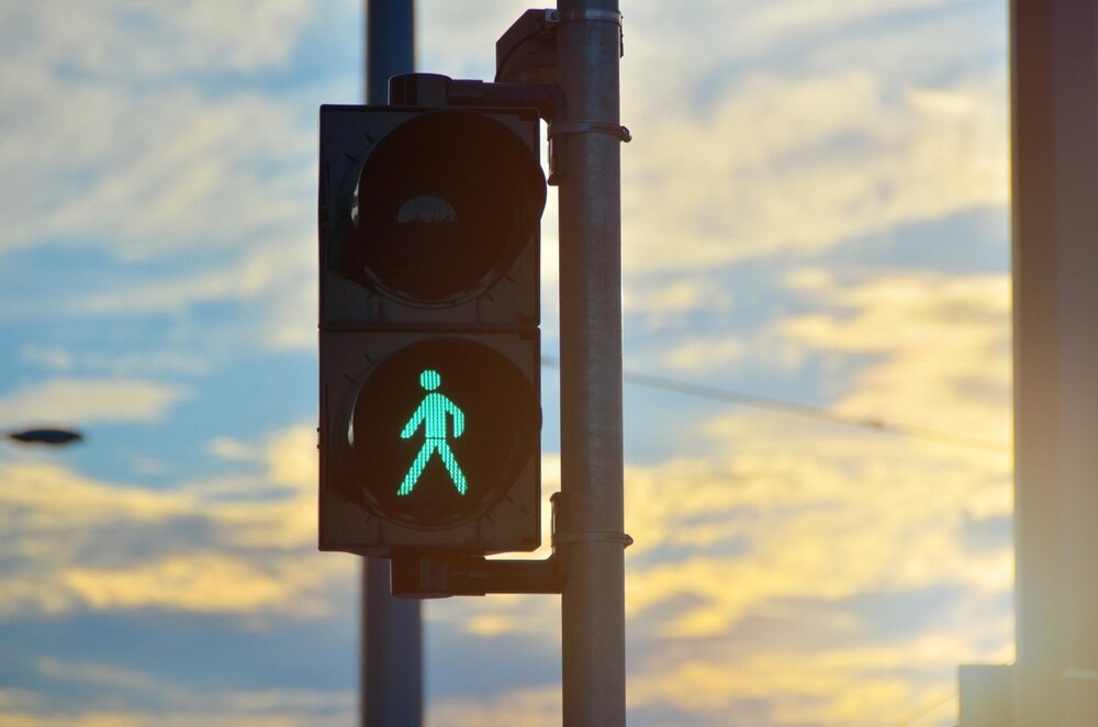 Jak postępować po potrąceniu dzikiego zwierzęcia na drodze?