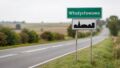 Jesienne przeloty ptaków. Zasady dla hodowców drobiu